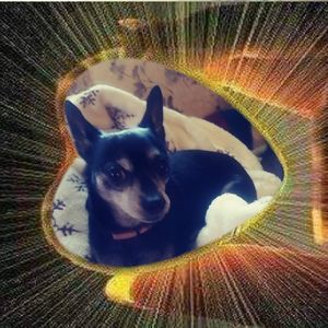 Meet your Posher, Cheryl smith